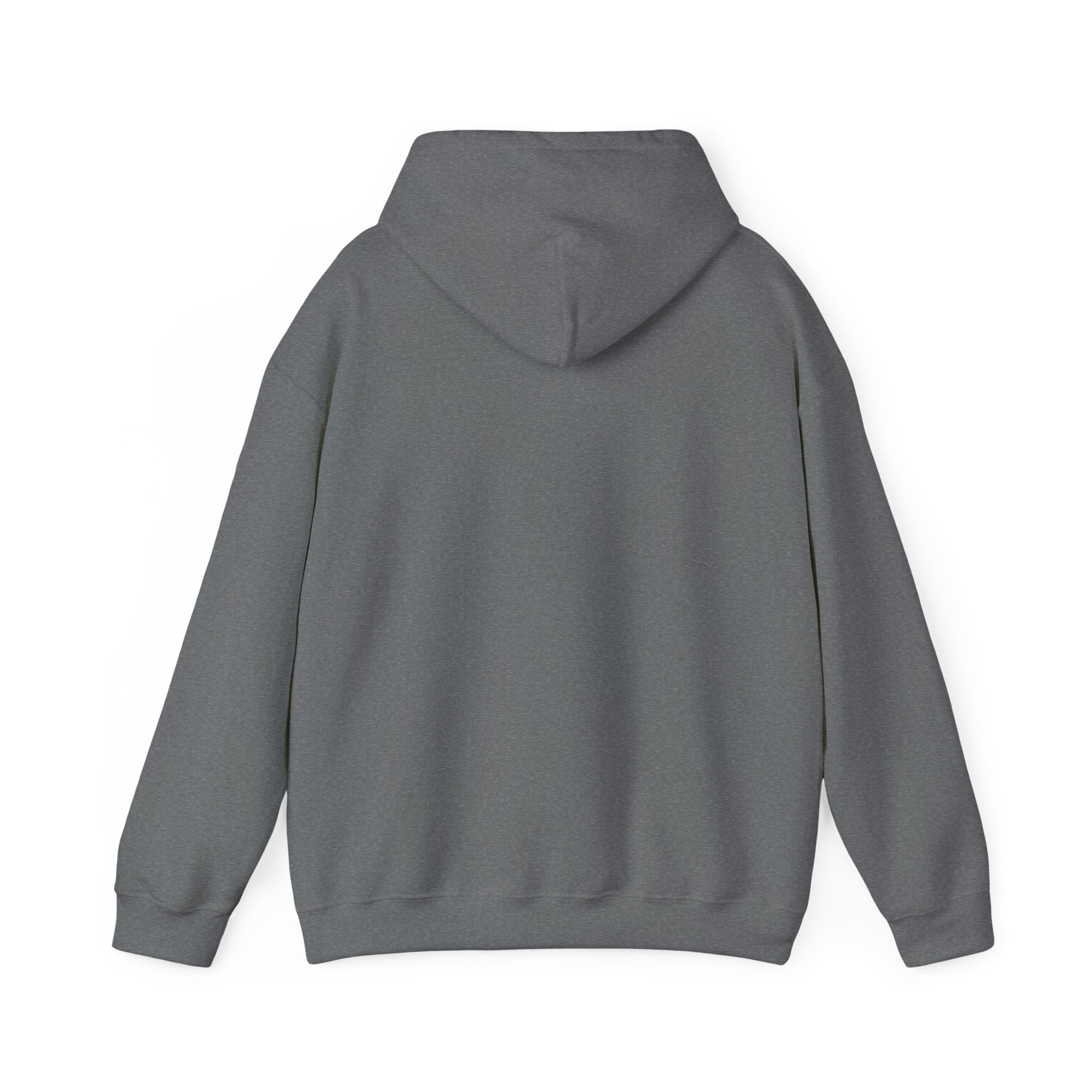 AI TRAIN  "Quantum Rail System" Unisex Heavy Blend™ Hooded Sweatshirt