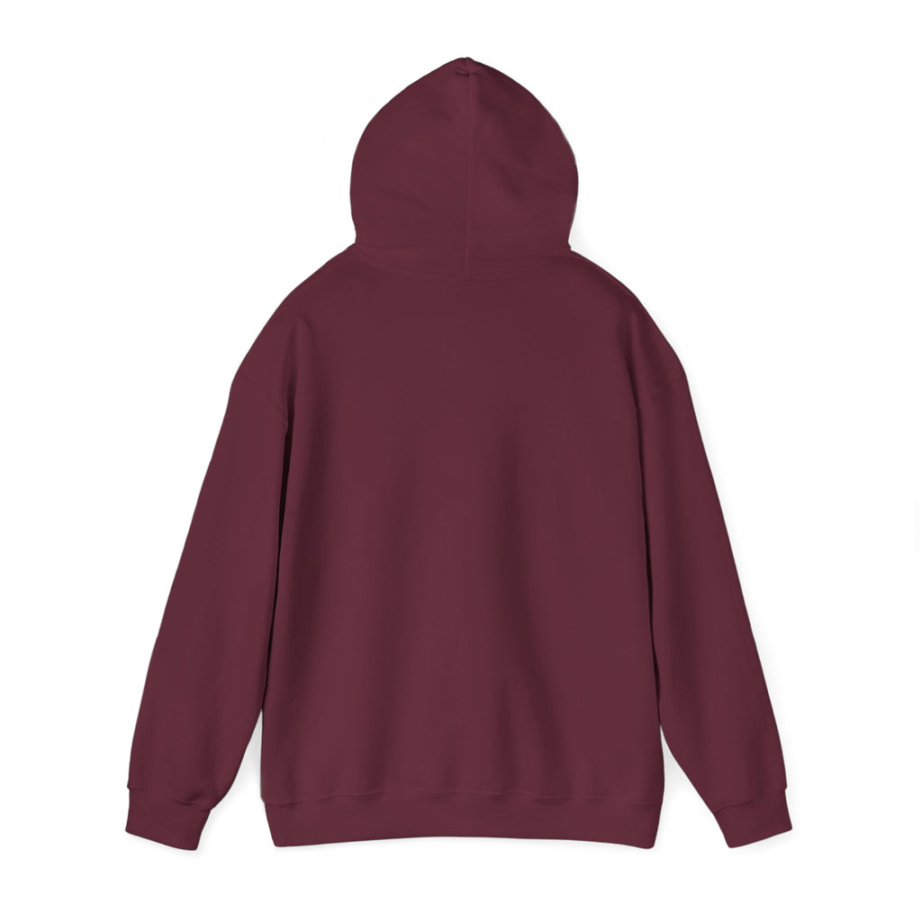 AI is Life "COSMIC SWIRL" — Retro Colorful Graphic Pullover Hoodie