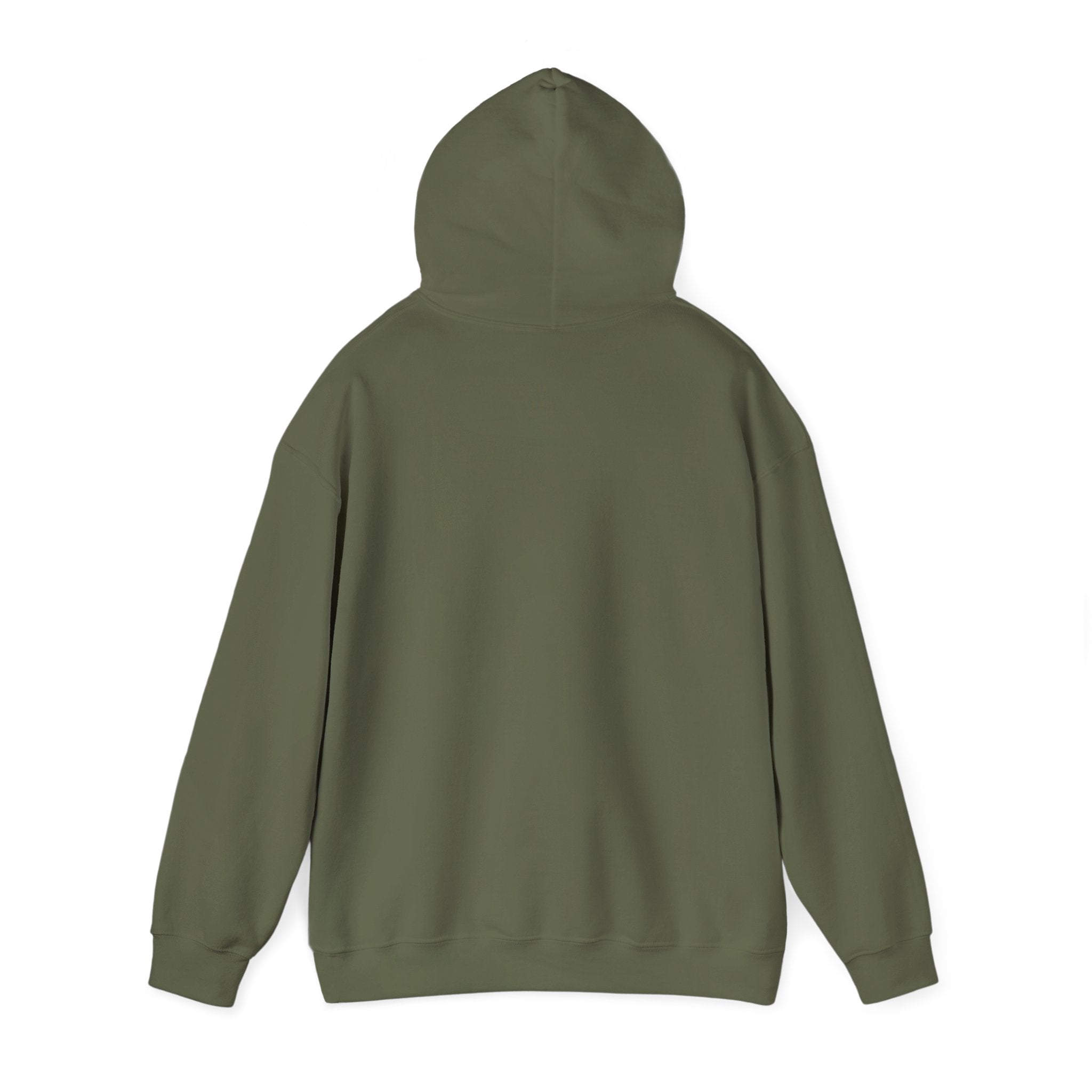 AI is Life "SUNSET CIRCUITRY" Unisex Minimal Blank Hooded Sweatshirt