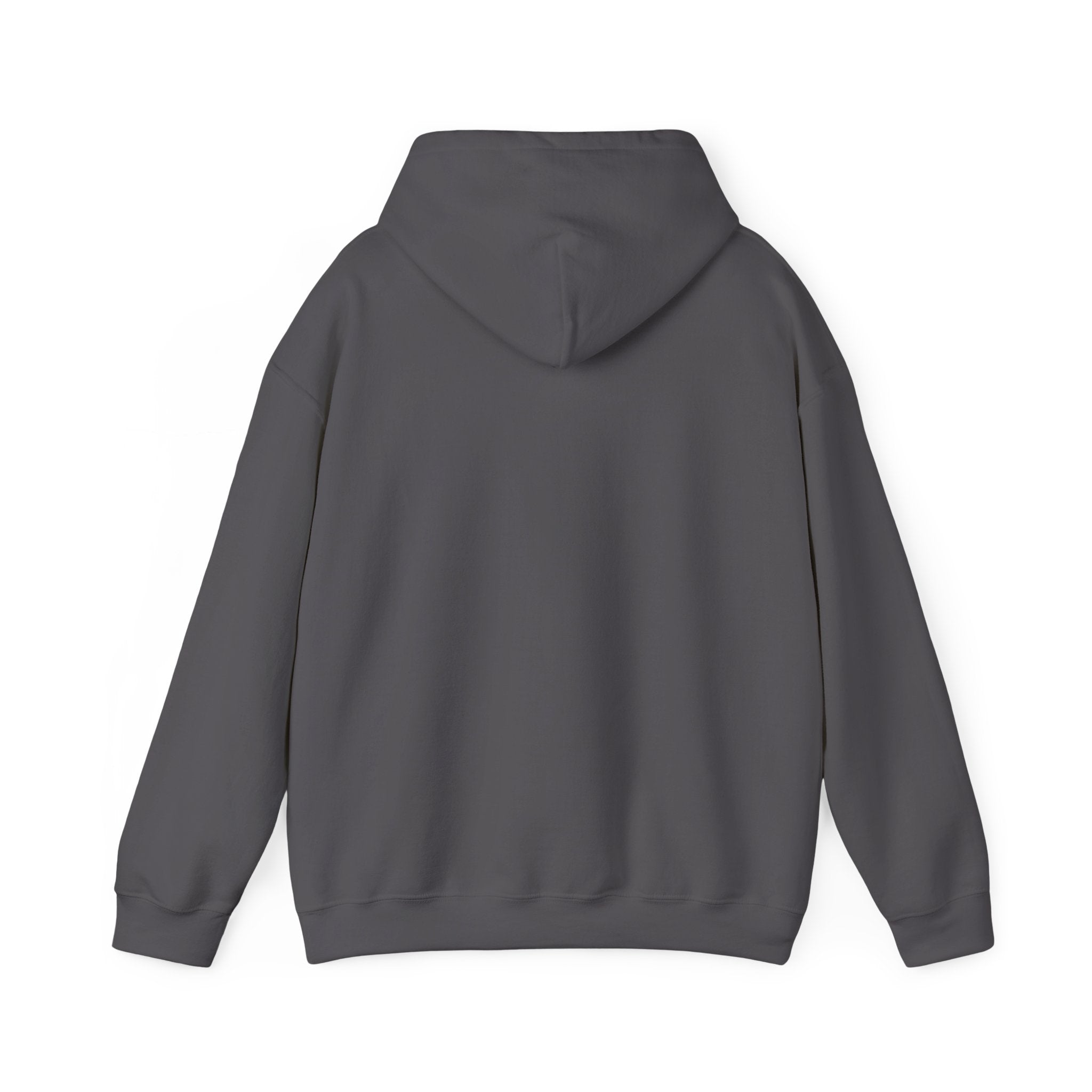 AI TRAIN  "Quantum Rail System" Unisex Heavy Blend™ Hooded Sweatshirt